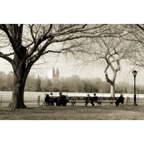 Fotomural Recuerdos de Central Park