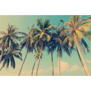 Fotomural palmeras 