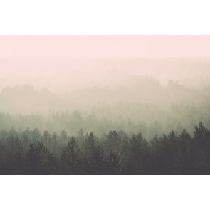 Fotomural bosque en la niebla